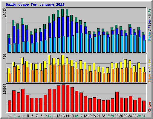 Daily usage for January 2021