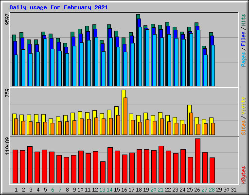 Daily usage for February 2021