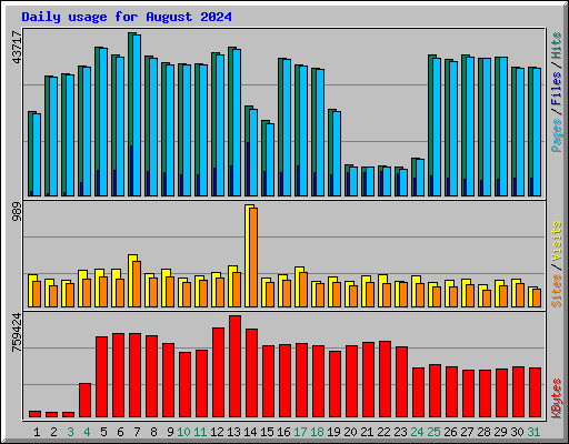 Daily usage for August 2024