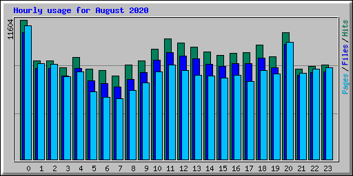 Hourly usage for August 2020