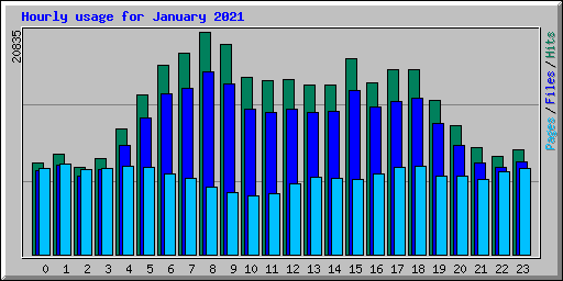 Hourly usage for January 2021