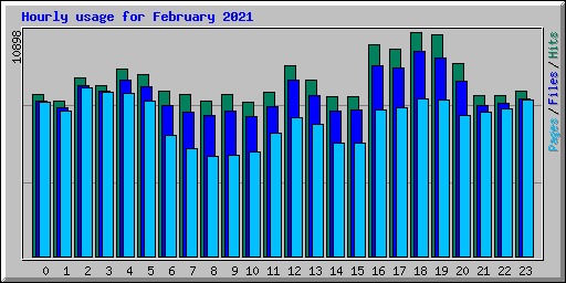 Hourly usage for February 2021