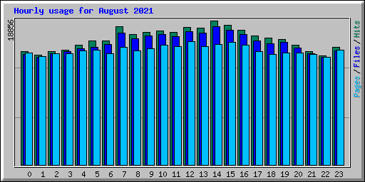 Hourly usage for August 2021