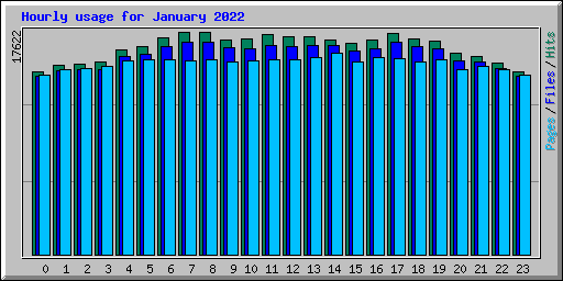 Hourly usage for January 2022