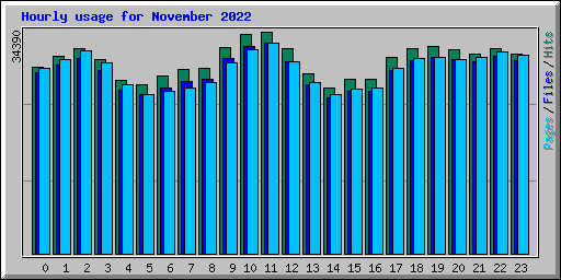 Hourly usage for November 2022