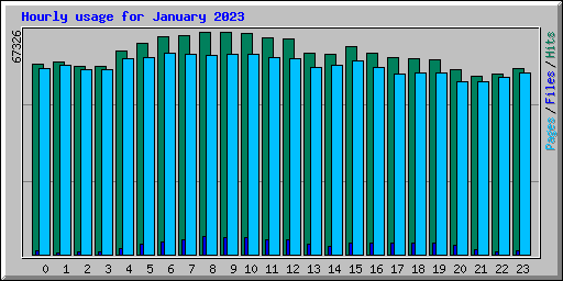 Hourly usage for January 2023