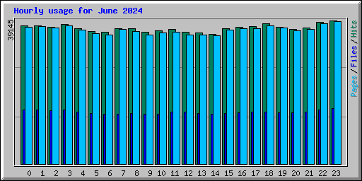 Hourly usage for June 2024