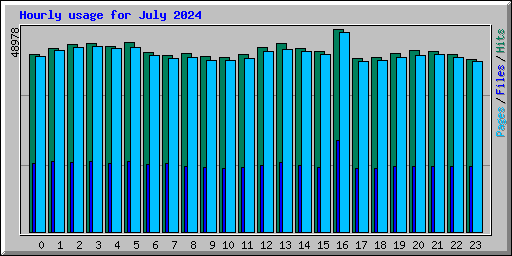 Hourly usage for July 2024