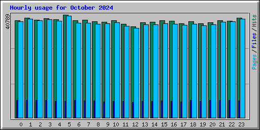 Hourly usage for October 2024