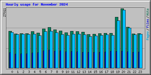 Hourly usage for November 2024