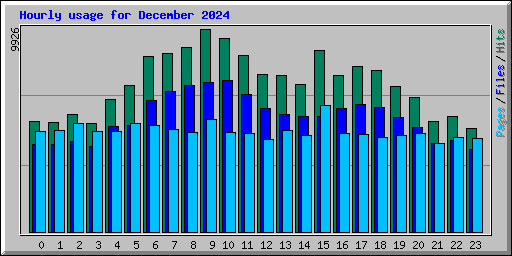 Hourly usage for December 2024