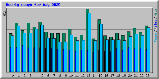 Hourly usage for May 2025