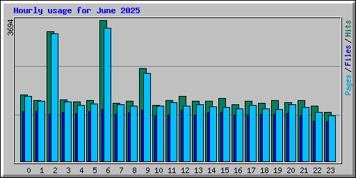 Hourly usage for June 2025