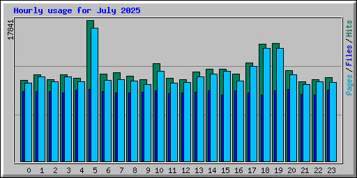 Hourly usage for July 2025