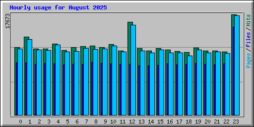 Hourly usage for August 2025