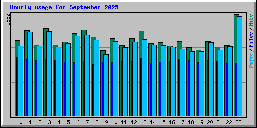 Hourly usage for September 2025