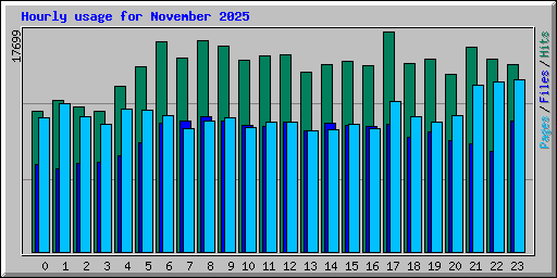 Hourly usage for November 2025