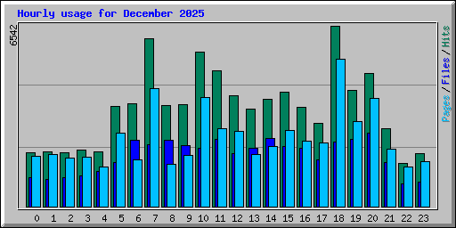 Hourly usage for December 2025