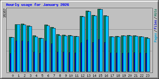 Hourly usage for January 2026