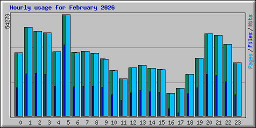 Hourly usage for February 2026