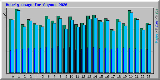 Hourly usage for August 2026
